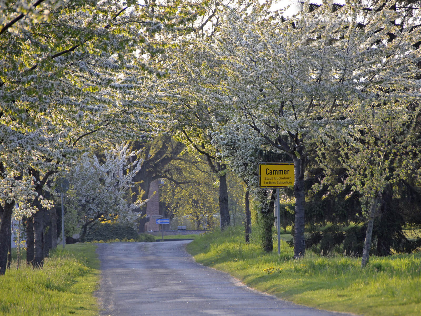 Erschließung Cammer Feld, Bückeburg-Cammer