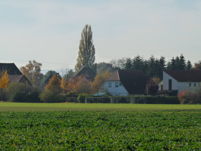 Erschließung Cammer Feld, Bückeburg-Cammer