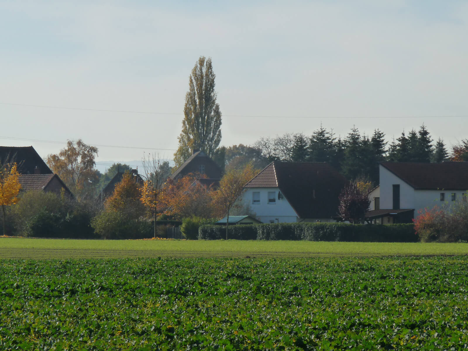 Erschließung Cammer Feld, Bückeburg-Cammer